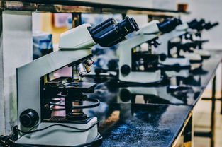 棕櫚大道留學(xué) 從父母反對到中介陷阱，她如何破局申8中7并拿下CMU科技中介服務(wù)錄取